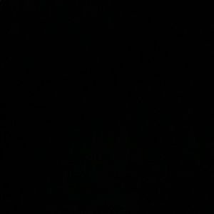 Meet your Posher, Pari